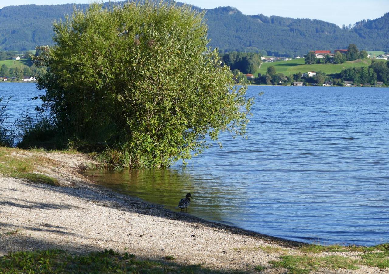 Refugio Del Lago Seekirchen am Wallersee Ngoại thất bức ảnh