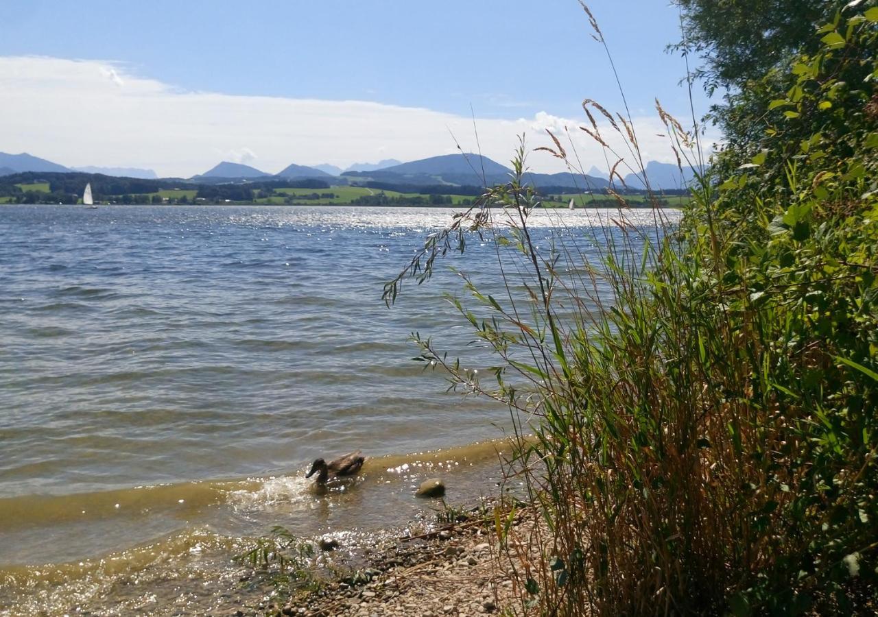 Refugio Del Lago Seekirchen am Wallersee Ngoại thất bức ảnh